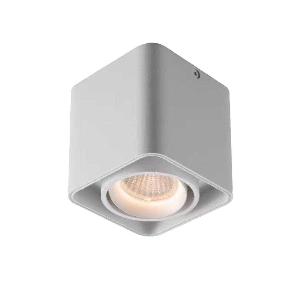 Refined Adjustable Ceiling Spotlight with Soft Anti-Glare Illumination